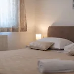 Dalmata